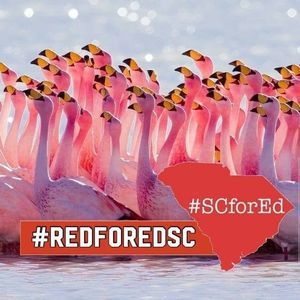 Meet your Posher, Gena